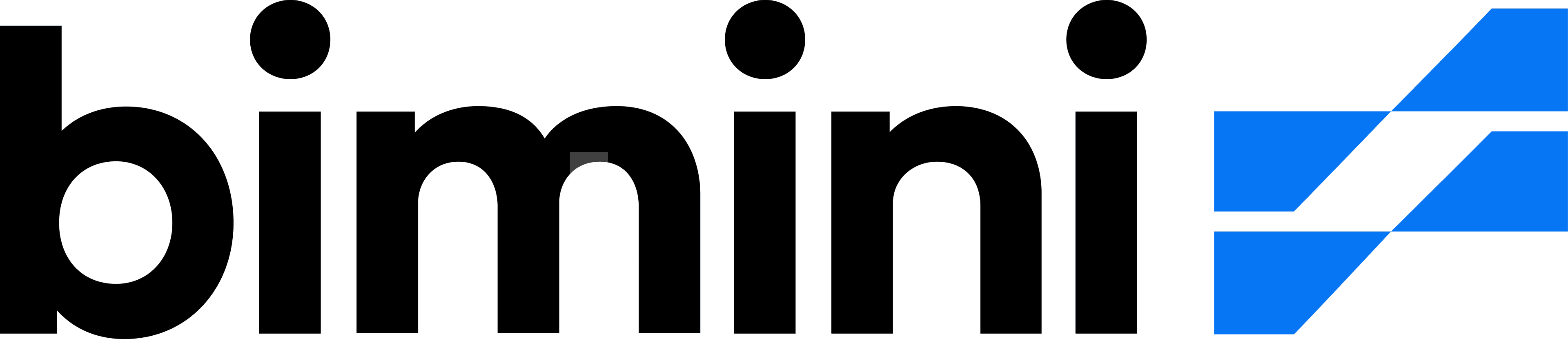 Bimini logo